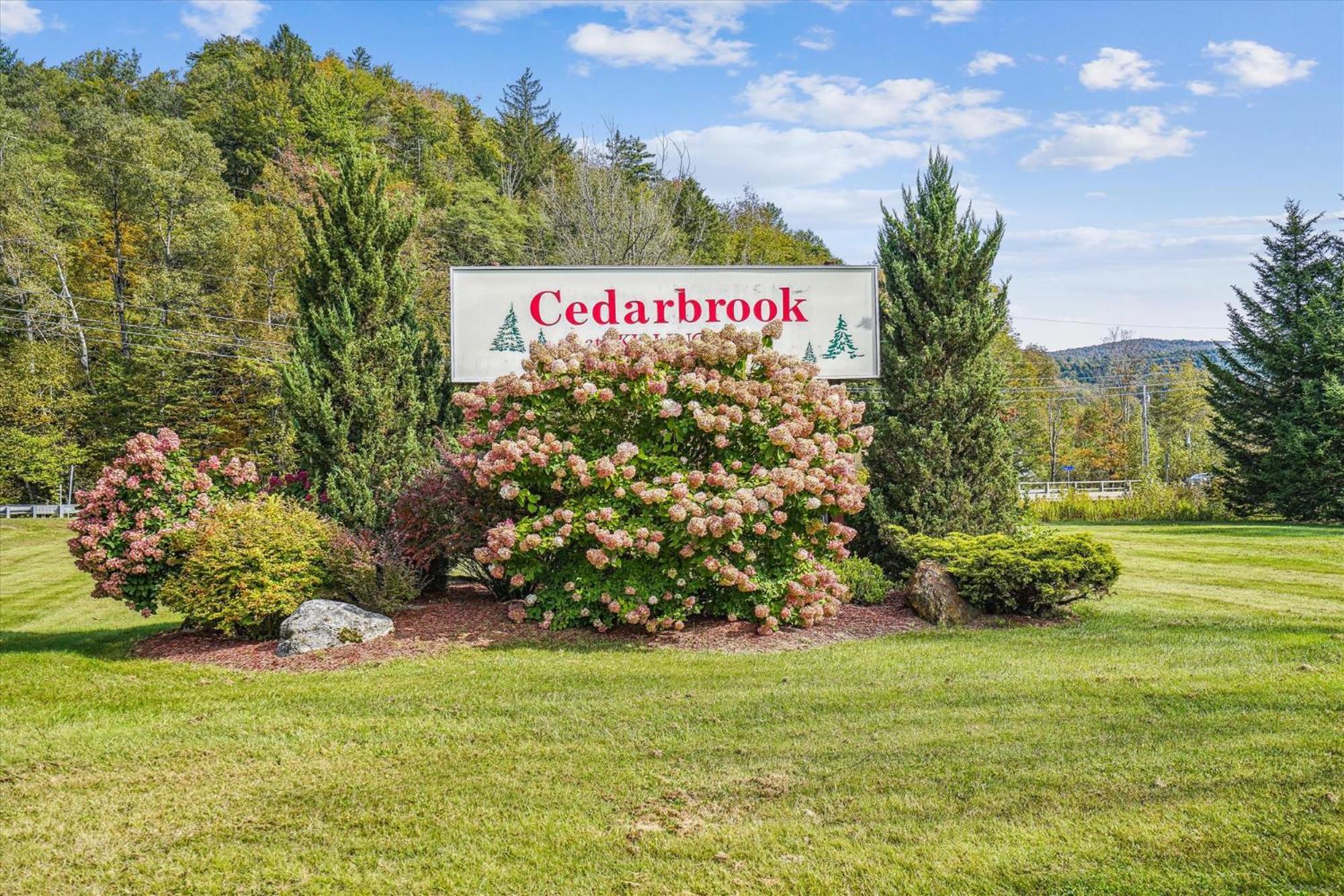 Cedarbrook Deluxe Two Bedroom Suite With Outdoor Heated Pool 19110 キリングトン エクステリア 写真